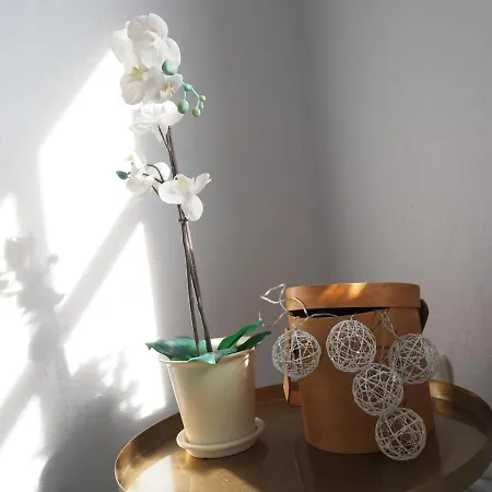 شقة Nordkrone Hafenstadt ساسنيتز